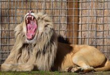 Sposoby na nudę w szkole Sposoby na nudę w szkole