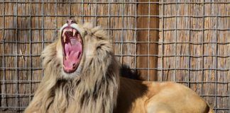 Sposoby na nudę w szkole Sposoby na nudę w szkole