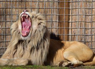 Sposoby na nudę w szkole Sposoby na nudę w szkole