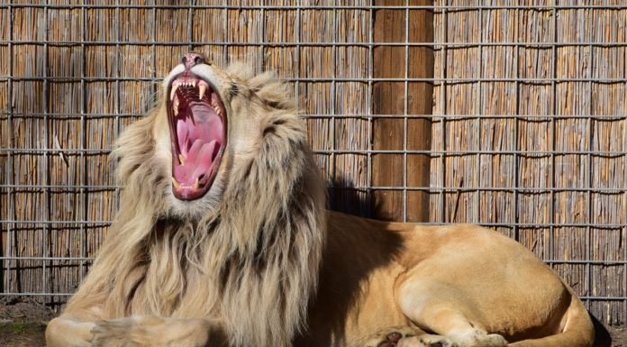 Sposoby na nudę w szkole Sposoby na nudę w szkole