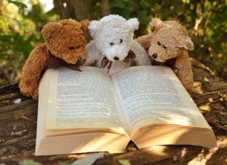 Zgubiony miś Zgubiony miś