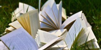 Summer Language Institute Summer Language Institute