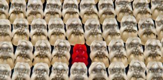 Subkultura wojowników a pluszowy dress Subkultura wojowników a pluszowy dress