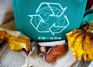 EKO-dekalog na Nowy Rok EKO-dekalog na Nowy Rok