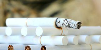 Zapaleni studenci Zapaleni studenci