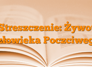 Streszczenie: Żywot człowieka Poczciwego Streszczenie: Żywot człowieka Poczciwego