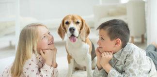 Dlaczego ważne jest wychowywanie dzieci wokół zwierząt? Dlaczego ważne jest wychowywanie dzieci wokół zwierząt?