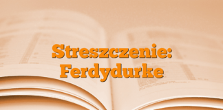 Streszczenie: Ferdydurke Streszczenie: Ferdydurke