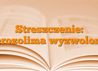 Streszczenie: Jerozolima wyzwolona Streszczenie: Jerozolima wyzwolona