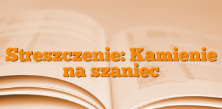 Streszczenie: Kamienie na szaniec Streszczenie: Kamienie na szaniec