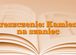 Streszczenie: Kamienie na szaniec Streszczenie: Kamienie na szaniec