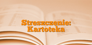 Streszczenie: Kartoteka Streszczenie: Kartoteka