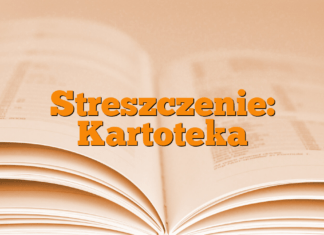Streszczenie: Kartoteka Streszczenie: Kartoteka