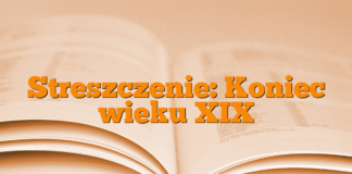 Streszczenie: Koniec wieku XIX Streszczenie: Koniec wieku XIX