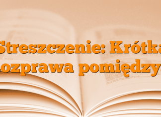 Streszczenie: Krótka Rozprawa pomiędzy… Streszczenie: Krótka Rozprawa pomiędzy…
