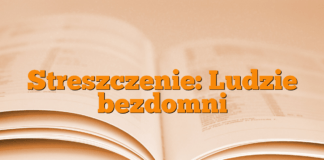 Streszczenie: Ludzie bezdomni Streszczenie: Ludzie bezdomni