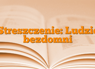 Streszczenie: Ludzie bezdomni Streszczenie: Ludzie bezdomni
