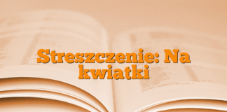 Streszczenie: Na kwiatki Streszczenie: Na kwiatki