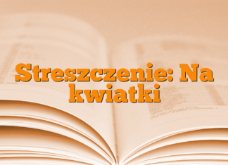 Streszczenie: Na kwiatki Streszczenie: Na kwiatki