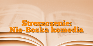 Streszczenie: Nie-Boska komedia Streszczenie: Nie-Boska komedia