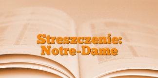 Streszczenie: Notre-Dame Streszczenie: Notre-Dame