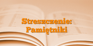 Streszczenie: Pamiętniki Streszczenie: Pamiętniki
