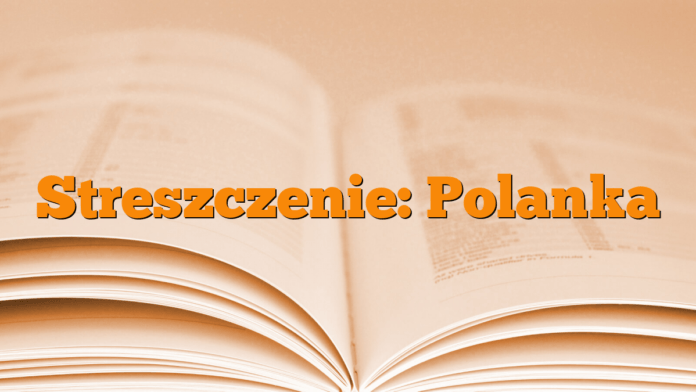 Streszczenie: Polanka Streszczenie: Polanka