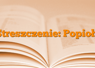 Streszczenie: Popioły Streszczenie: Popioły
