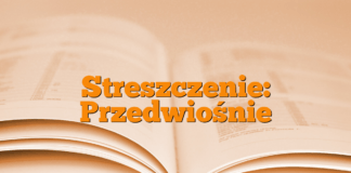 Streszczenie: Przedwiośnie Streszczenie: Przedwiośnie