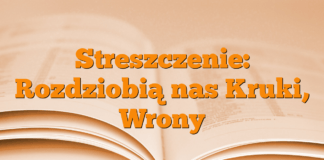 Streszczenie: Rozdziobią nas Kruki, Wrony Streszczenie: Rozdziobią nas Kruki, Wrony