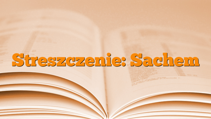 Streszczenie: Sachem Streszczenie: Sachem