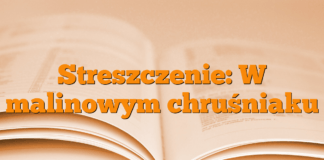 Streszczenie: W malinowym chruśniaku Streszczenie: W malinowym chruśniaku
