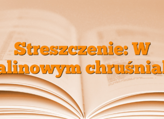 Streszczenie: W malinowym chruśniaku Streszczenie: W malinowym chruśniaku