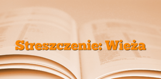 Streszczenie: Wieża Streszczenie: Wieża