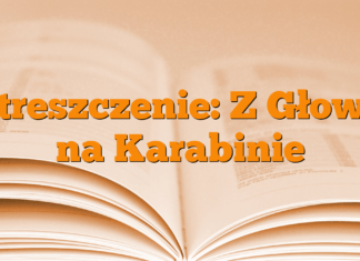 Streszczenie: Z Głową na Karabinie Streszczenie: Z Głową na Karabinie