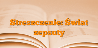 Streszczenie: Świat zepsuty Streszczenie: Świat zepsuty