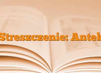 Streszczenie: Antek Streszczenie: Antek