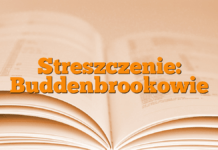 Streszczenie: Buddenbrookowie Streszczenie: Buddenbrookowie
