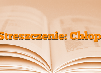 Streszczenie: Chłopi Streszczenie: Chłopi