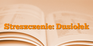 Streszczenie: Dusiołek Streszczenie: Dusiołek