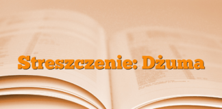 Streszczenie: Dżuma Streszczenie: Dżuma