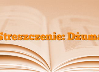 Streszczenie: Dżuma Streszczenie: Dżuma