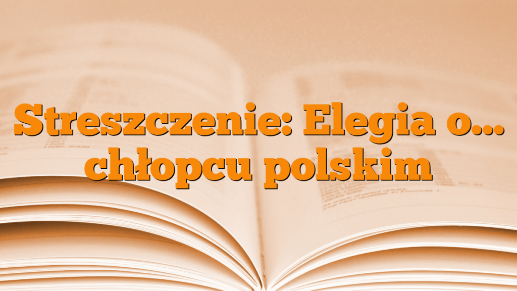 Elegia O Chłopcu Polskim Podmiot Liryczny Streszczenie: Elegia o... chłopcu polskim - Młodzieżowy.pl