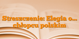 Streszczenie: Elegia o… chłopcu polskim Streszczenie: Elegia o… chłopcu polskim