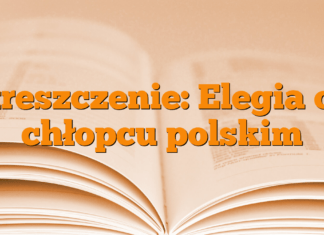 Streszczenie: Elegia o… chłopcu polskim Streszczenie: Elegia o… chłopcu polskim