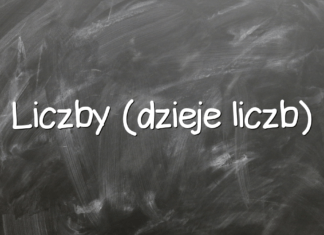 Liczby (dzieje liczb) Liczby (dzieje liczb)