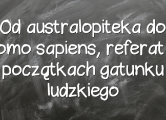 Od australopiteka do homo sapiens, referat o początkach gatunku ludzkiego Od australopiteka do homo sapiens, referat o początkach gatunku ludzkiego
