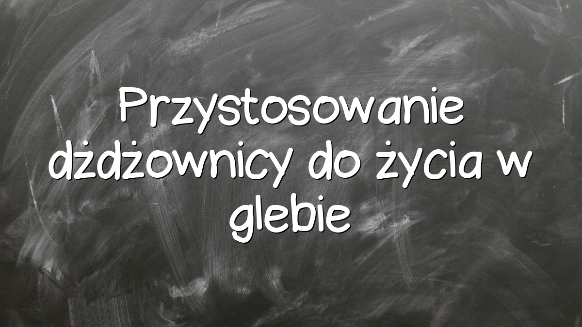 Przystosowanie dżdżownicy do życia w glebie