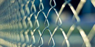 Telefony komórkowe, po prostu smycz Telefony komórkowe, po prostu smycz