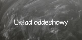 Układ oddechowy Układ oddechowy